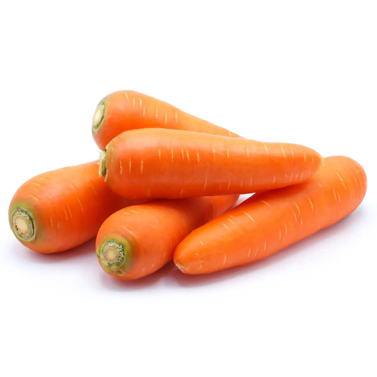 Carrot